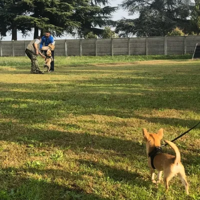 addestramento11112019-5