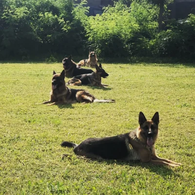 addestramento11112019-6