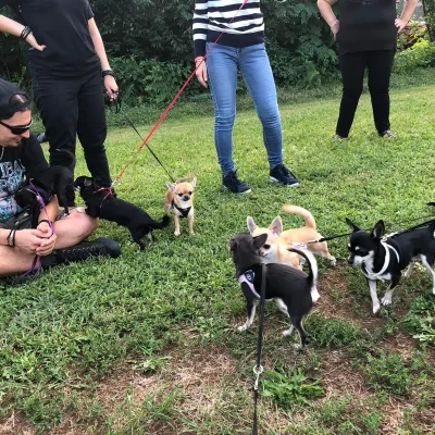 addestramento12092019-1