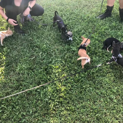 addestramento12092019-10