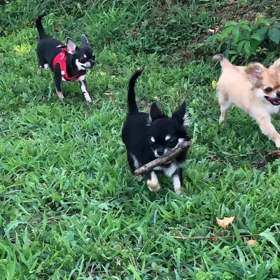 addestramento12092019-5