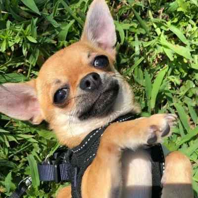 addestramento12092019-7