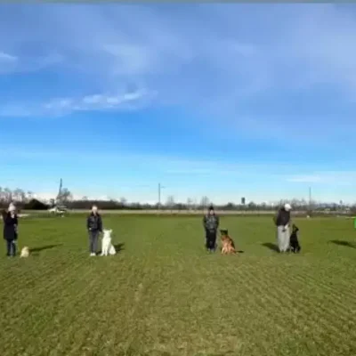 addestramentovonfedelia11092023_6