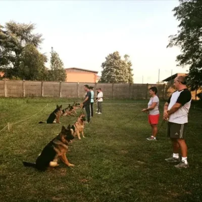 fermo in posizione seduto....di gruppo!