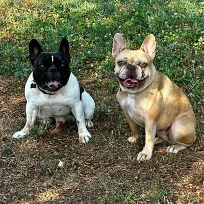 ospiti-vonhausgiuls_1