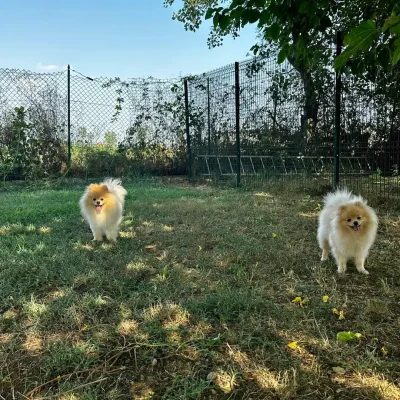 ospiti-vonhausgiuls_10