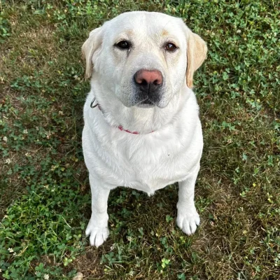 ospiti-vonhausgiuls_2