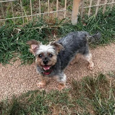 ospiti-vonhausgiuls_4