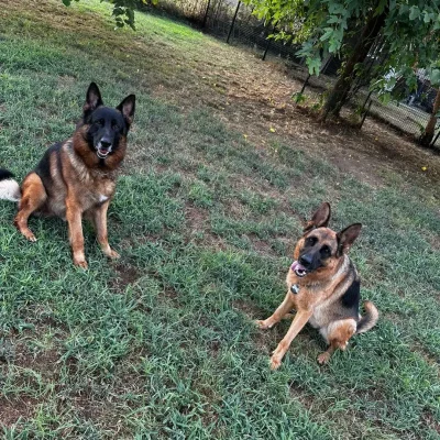 ospiti-vonhausgiuls_5