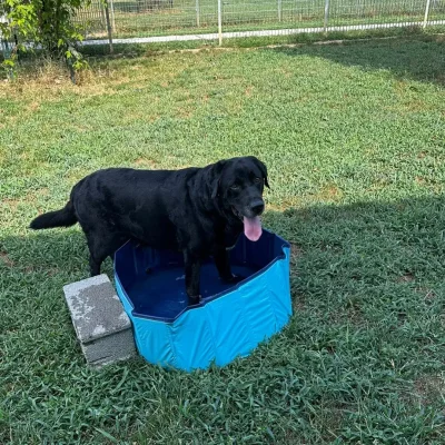 ospiti-vonhausgiuls_6