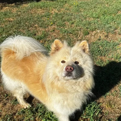 ospiti-vonhausgiuls_7