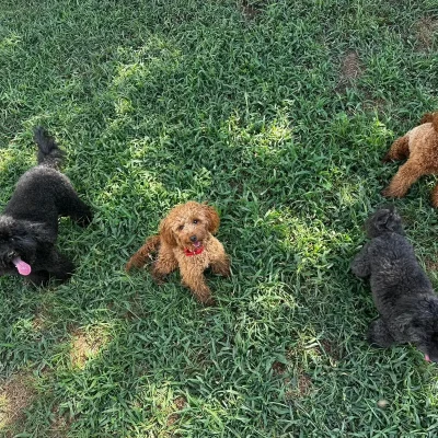 ospiti-vonhausgiuls_9