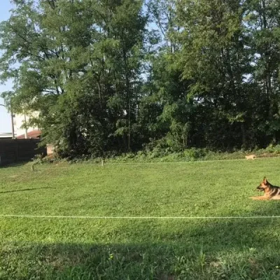 terra resta di Kelly con distrazione...gatto!